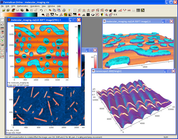 FemtoScan Online: Additional License