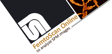 FemtoScan Online Logo