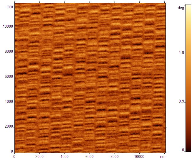 Z:\students\Sushko\AFM\2008\HDD\HDD_NEW.000.spm