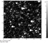 C:\Users\A_Bowen\Desktop\AFM_09-09-2010\AFM_Glass\2 um 89 nm Ar.002.spm