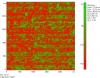 Tobacco mosaic virus