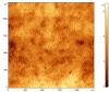 PS-PMA block-copolymer films on mica. [PS]:[PMA]=1:1